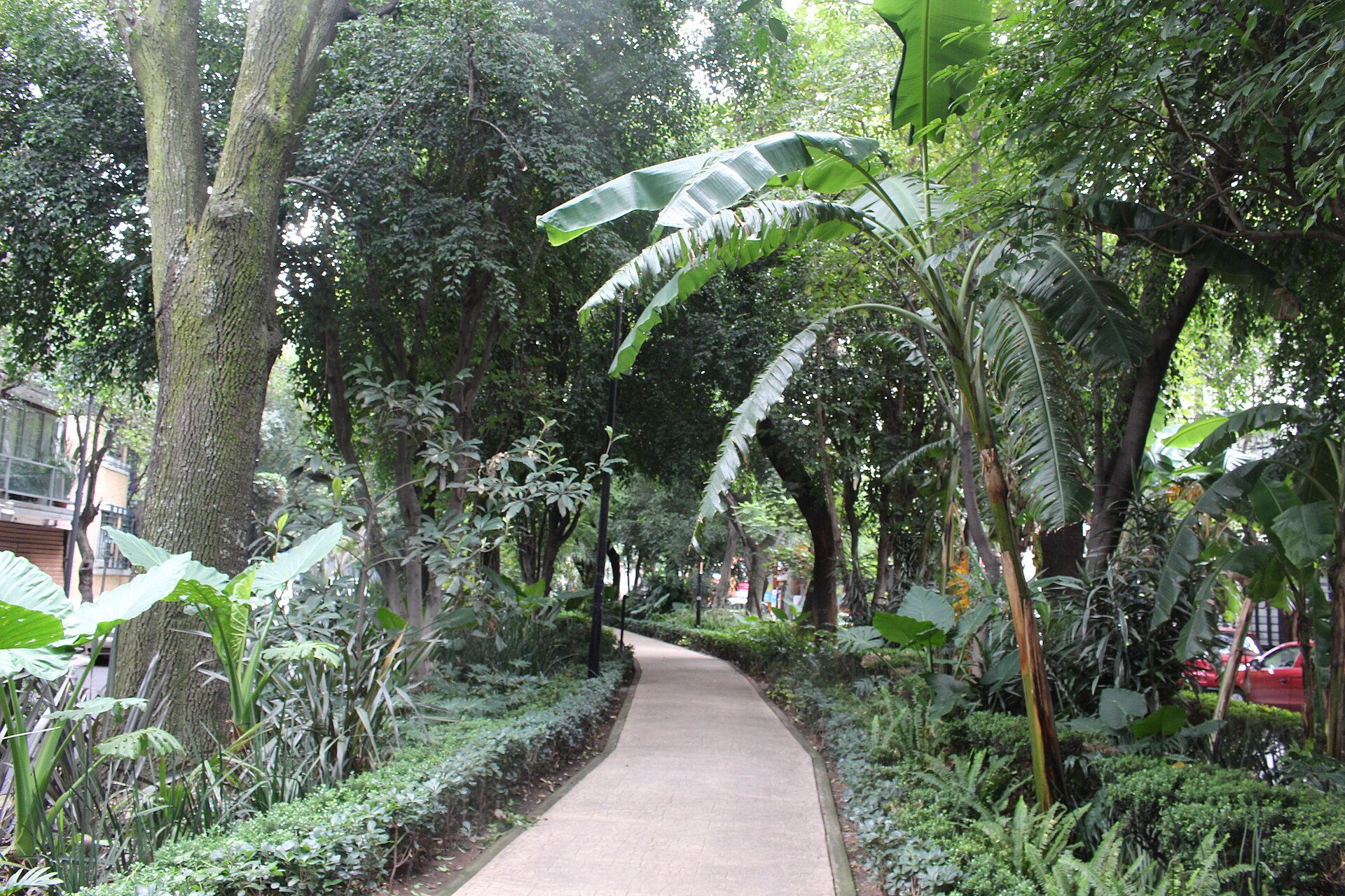 Colonia Condesa